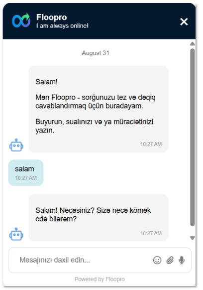 Floopro LiveChat ekran görüntüsü